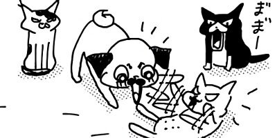 �����Υѥ���ǭ�Ǥ��롣 26