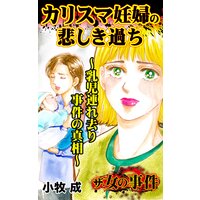 ザ・女の事件 カリスマ妊婦の悲しき過ち〜乳児連れ去り事件の真相〜/ザ・女の事件Vol.4