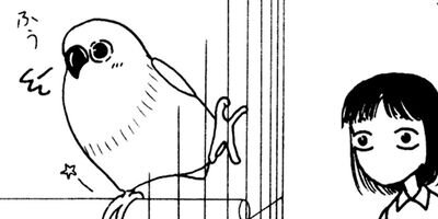 �ȴݤܤ��� 17