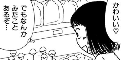 �ȴݤܤ��� 20