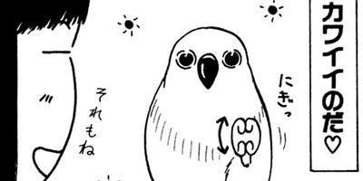 �ȴݤܤ��� 22