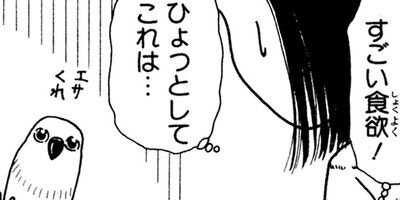 �ȴݤܤ��� 24