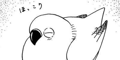 �ȴݤܤ��� 29