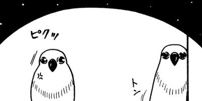 �ȴݤܤ��� 31