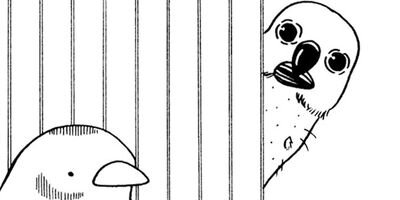 �ȴݤܤ��� 35