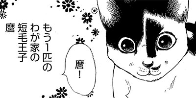 ǭ�Ϥʤ�ˤ⤹�뤳�Ȥ��ʤ� 13