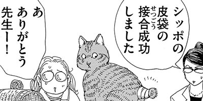 ǭ�Ϥʤ�ˤ⤹�뤳�Ȥ��ʤ� 17