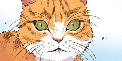 õ����꡼��18�áڥե륫�顼��