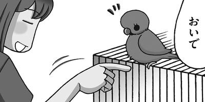 【タテコミ】インコ様々 6羽+3人ぐらし_サムネイル