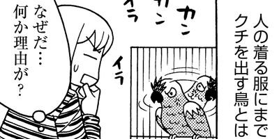 �����͡���41��6����3�ͤ��餷