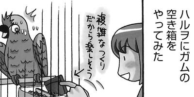 �����͡���44��6����3�ͤ��餷