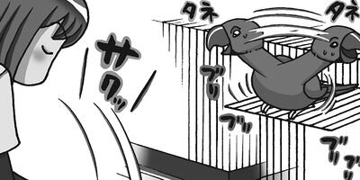 �����͡���45��6����3�ͤ��餷