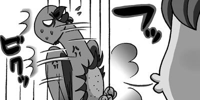 �����͡���46��6����3�ͤ��餷