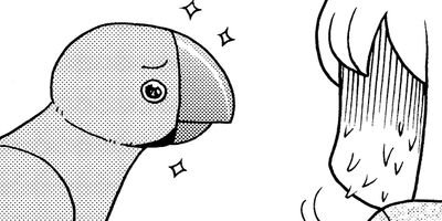 �����͡���49��6����3�ͤ��餷