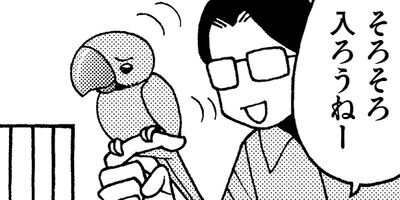 �����͡���50��6����3�ͤ��餷