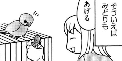 �����͡���51��6����3�ͤ��餷