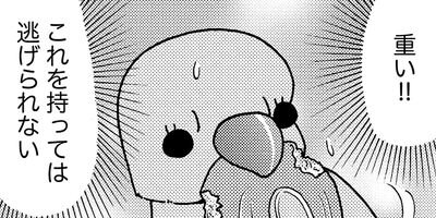 �����͡���54��6����3�ͤ��餷