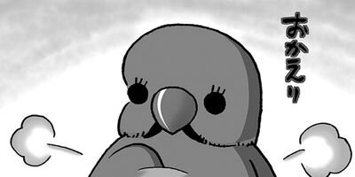 【タテコミ】今日もインコ様々_サムネイル