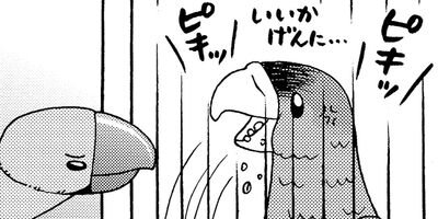 �����͡���63�˺����⥤���͡�