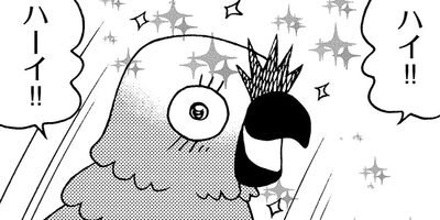 �����͡���66�˺����⥤���͡�