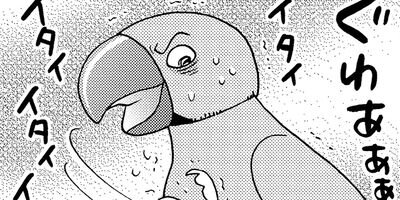 �����͡���68�˺����⥤���͡�