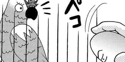 �����͡���75�˺����⥤���͡�