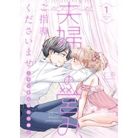 夫婦の営み、ご指導くださいませ〜ヤリ手と箱入り娘〜【描き下ろしおまけ付き特装版】