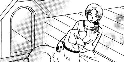 ����󤳤��ޡ��������ϥܥ��ƥ����Ϥ���ޤ������� 16