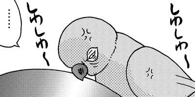 �����͡���79�ˤ������