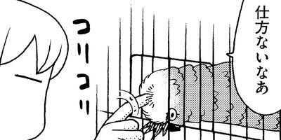 �����͡���85�ˤ������