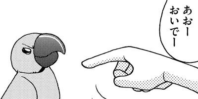 �����͡���90�ˤ������