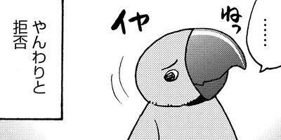 �����͡���92�ˤ������