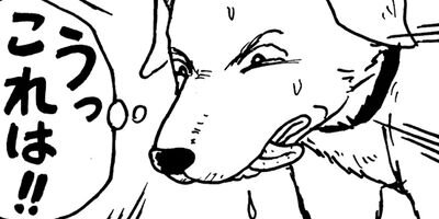 �ߤ�����Ⱦ��� 102