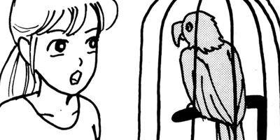 �ߤ�����Ⱦ��� 110