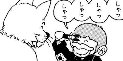 ������ǥ�� 13