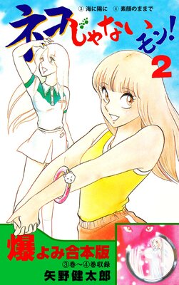 �ͥ�����ʤ���󡪡ڹ����ǡ� 2