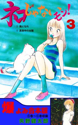 �ͥ�����ʤ���󡪡ڹ����ǡ� 3