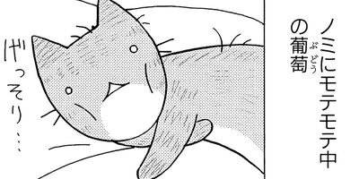 �Ȥ�֤�˥�� 1