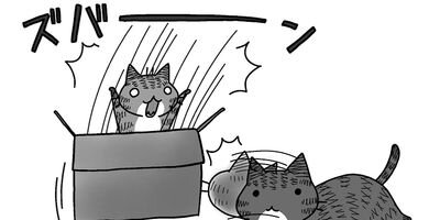 �����餯�˥�� 2