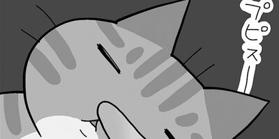 ���ޤ���˥�� 5