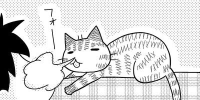 ���ޤ���˥�� 9