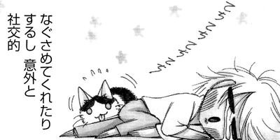 ̡��������ǭ�� 24