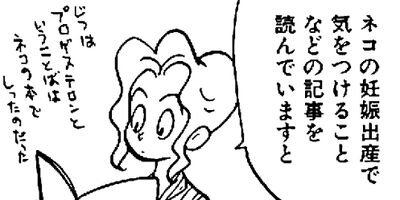 �䤿�����˿����Ƥ��� 33