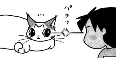 ǭ�εͤ��碌 6