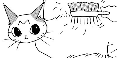 ǭ�εͤ��碌 11