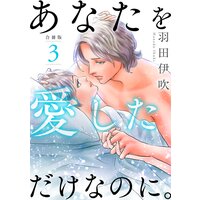 あなたを愛しただけなのに。合冊版3