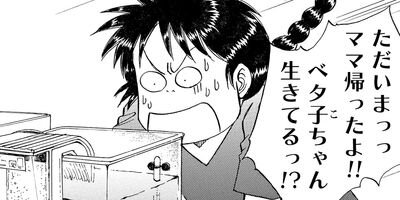 ������������� 322