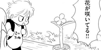 �䤿�����˿����Ƥ��� 347