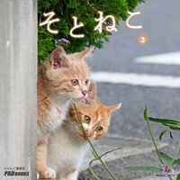 そとねこ VOL.03