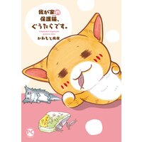 我が家の保護猫、ぐうたらです。